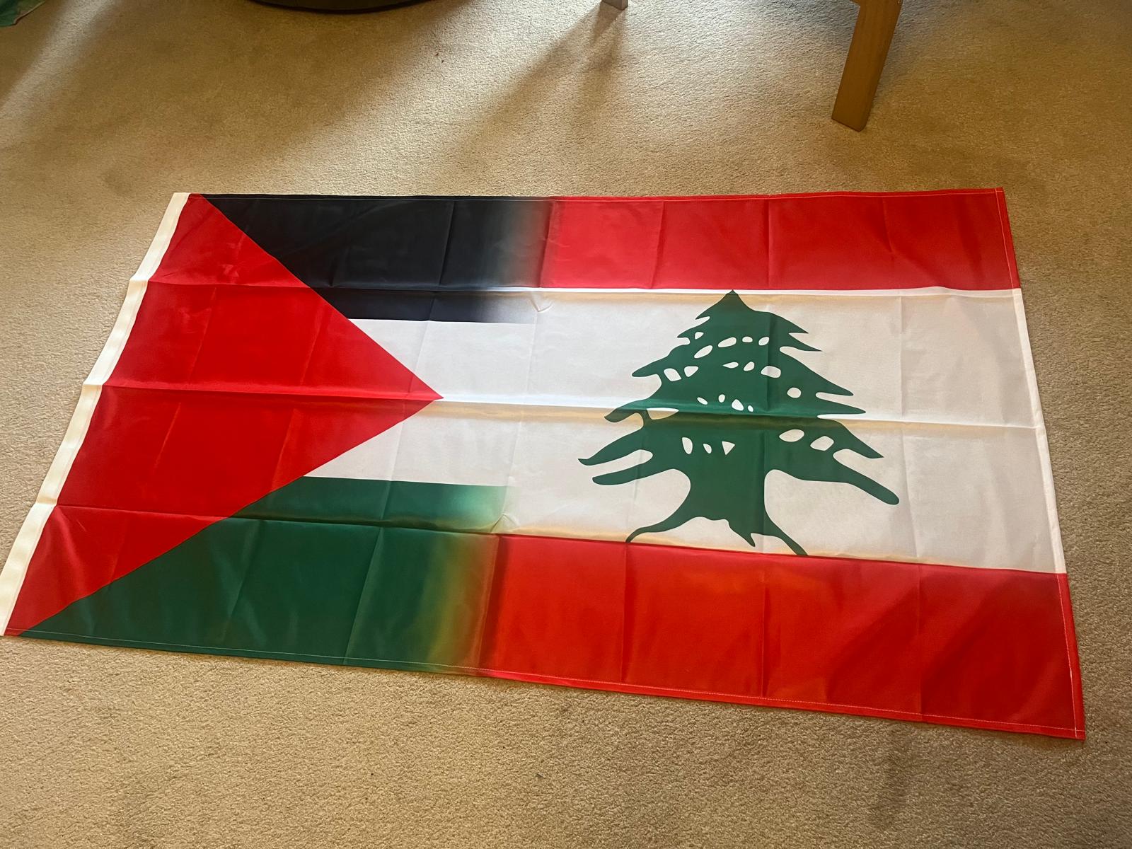 Palestine-Lebanon Solidarity Flag