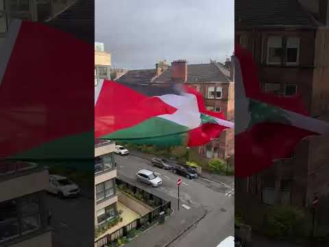 Palestine-Lebanon Solidarity Flag